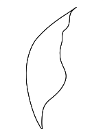 6E6Z78632A22C - Body: Seat Cushion Pad for Mercury: Mariner Image