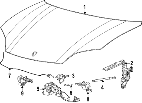 Hood & Components for 2025 Porsche Macan #1