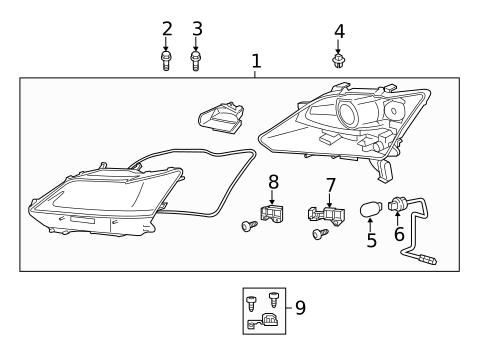 Bulbs - Chassis for 2013 Lexus GS450h #1