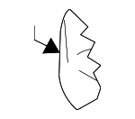 883057Y000 - Body: Seat Cushion Pad for Nissan: Maxima Image