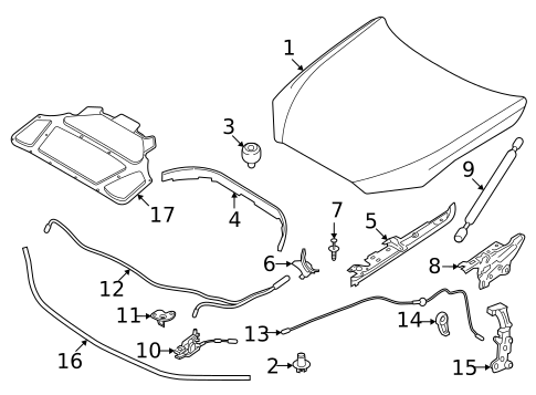 Hood & Components for 2025 BMW M4 #0