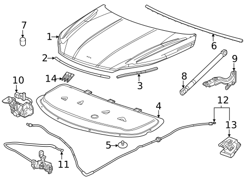 Diagram 10