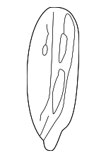 22584799 - Body: Quarter Panel Air Vent Grille for Chevrolet: Cavalier | Pontiac: Sunfire Image image