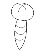 998650516B - Body: Bezel Screw for Mazda: 2, 3, 5, 6, CX-3, CX-30, CX-5, CX-50, CX-7, CX-70, CX-9, Miata, MX-30 EV, MX-5 Miata, Protege, Protege5, RX-8 Image