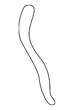 2135238001 - Engine: Outer Timing Cover Gasket for Hyundai Image