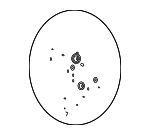 56111S8300RBD - Steering: Steering Wheel for Hyundai: Palisade Image