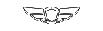 52960D2400 - Suspension: Center Cap for Hyundai Image