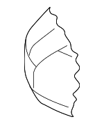 8W8885375J - Body: Seat Cushion Pad for Audi Image