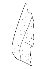 1K0885775AP - Body: Seat Back Pad for Volkswagen: Golf, Golf R, GTI, R32, Rabbit Image