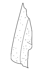 5K0885776K - Body: Seat Back Pad for Volkswagen: Golf, GTI Image