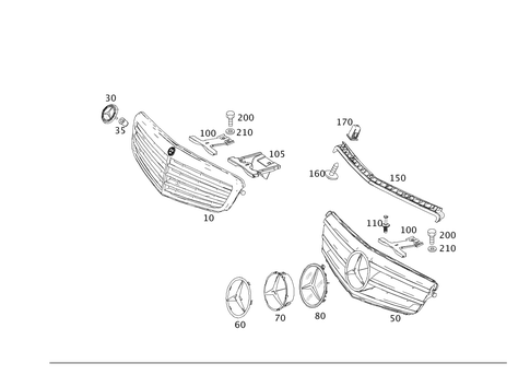 Radiator Grille for 2012 Mercedes-Benz C350 #0