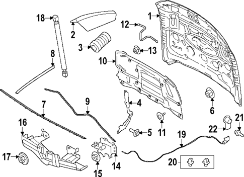 Hood & Components for 2025 Ford Mustang #0