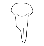 9046707192 - Body: Cowl Cover Clip for Toyota: RAV4 Image