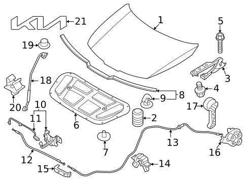 Hood & Components for 2023 Kia Sportage #1