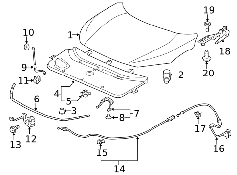 Hood & Components for 2019 Honda Civic #1