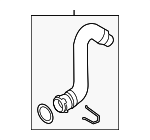 4G0121049AN - Cooling System: Lower Hose for Audi Image