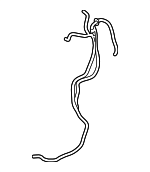 LR038622 - : Vent Tube for Land-Rover Image