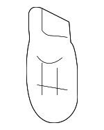 110194 - Electrical: Map Light Bulb for Mazda Image