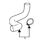 1657131420 - : Upper Hose for Lexus: LC500h, LS500h Image