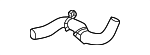 1657231500 - Cooling System: Lower Hose for Lexus: LS500h Image