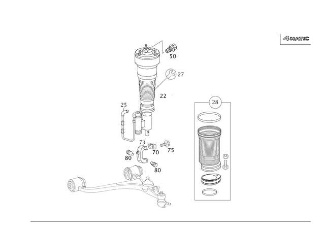 2203202238 - : Air Spring Strut for Mercedes-Benz Image
