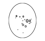 56111P1200HB3 - Steering: Steering Wheel for Kia: Sportage Image