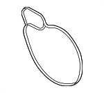 Water Pump Assembly Gasket
