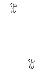 1J0867276B - Body: Cowl Trim Clip for Volkswagen Image