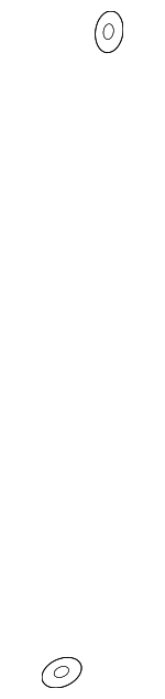 80871SN7003 - HVAC: Front Suction Hose Seal for Honda: Accord, Civic, Clarity, CR-V, CR-Z, Crosstour, Fit, HR-V, Insight, Odyssey, Passport, Pilot, Ridgeline Image