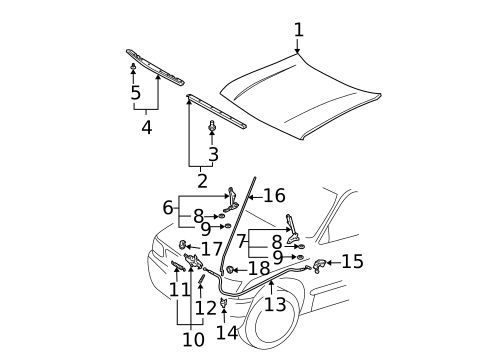 Hood & Components for 2004 Toyota Tacoma #0