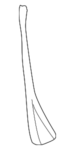 GNA3275BG - Body: Window Molding for Jaguar Image