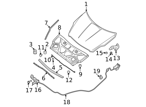 Hood & Components for 2010 Nissan Altima #1