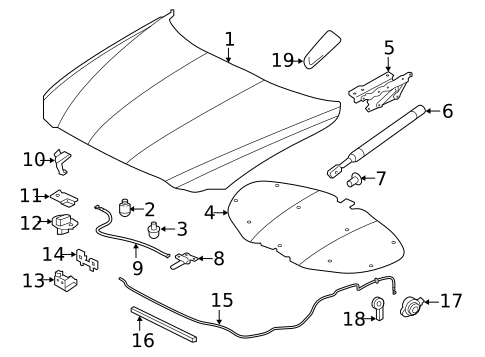 Hood & Components for 2017 Jaguar XF #3
