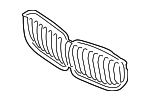 51137454888 - : Upper Grille for BMW: X5 Image