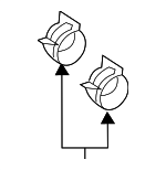 MR281416 - Cooling System: Upper Hose Clamp for Mitsubishi: 3000GT, Eclipse, Eclipse Cross, Endeavor, Outlander, Outlander Sport Image