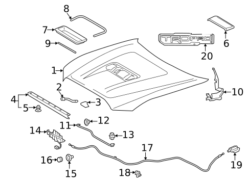 Hood & Components for 2020 Toyota Tacoma #0