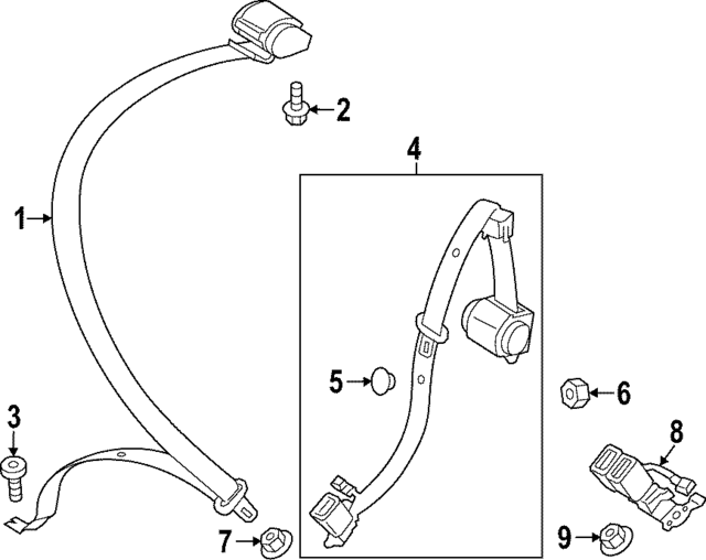 8Y0857805H4ER - Electrical: Outer Belt Assembly for Audi Image