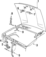 E4TZ16612B - Body: Hood for Ford: Bronco, F-150, F-250, F-350 Image