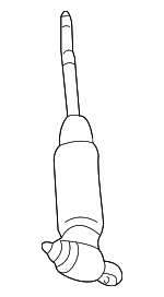 5114489AB - Suspension: Shock for Dodge: Ram 1500 Image