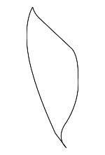 892502D502 - : 2005-2006 Hyundai Elantra - Seat Cushion for Hyundai: Elantra Image