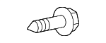 Fog Lamp Assembly Screw