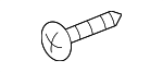 Fog Lamp Assembly Screw