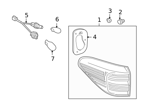 Bulbs - Chassis for 2012 Lexus RX450h #3