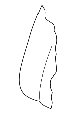 8V5885775B - Body: Seat Back Pad for Audi Image