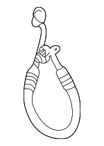 95B816720 - HVAC: AC Hose for Porsche Image