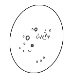 32306877873 - Steering: Steering Wheel for BMW: X5, X6 Image