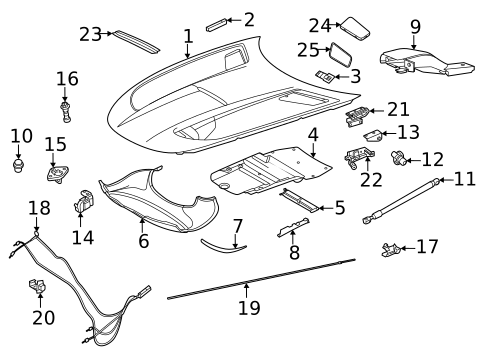 Hood & Components for 2021 Mercedes-Benz AMG GT Black Series #0
