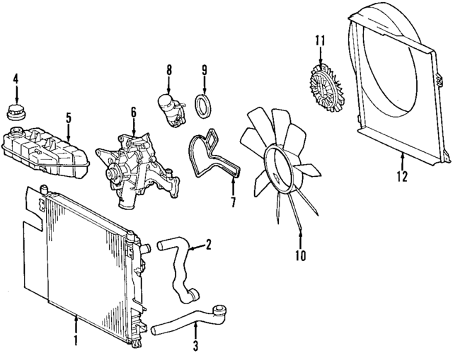 1645013682 - Cooling System: Lower Hose for Mercedes-Benz Image