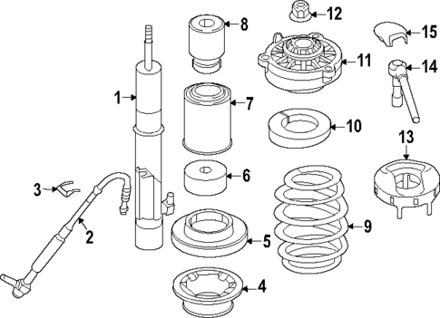 Struts & Components for 2018 Audi RS5 #1