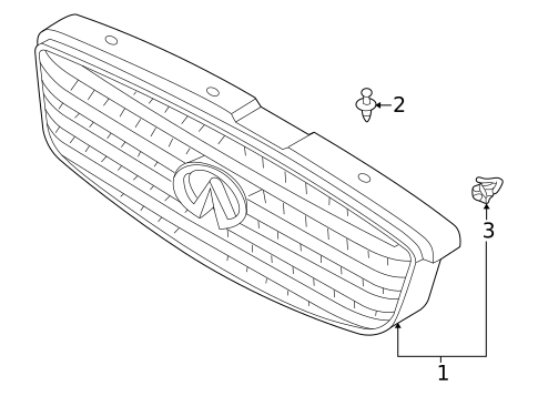 Grille & Components for 2005 INFINITI Q45 #0